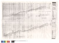 藏品(縱剖面圖)的圖片