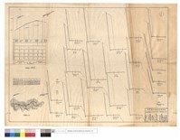 藏品(縱斷面圖、平面圖)的圖片