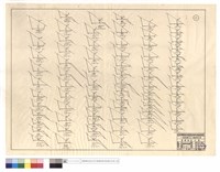 藏品(N/A)的圖片