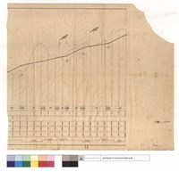 藏品(N/A)的圖片