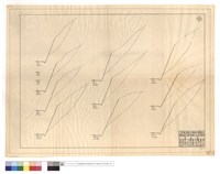 藏品(N/A)的圖片