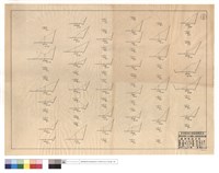 藏品(N/A)的圖片