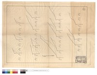 藏品(N/A)的圖片