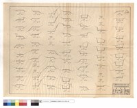 藏品(N/A)的圖片