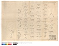 藏品(N/A)的圖片