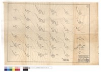 藏品(N/A)的圖片