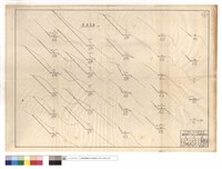 藏品(橫斷面圖)的圖片