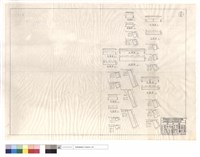 藏品(平,正面圖)的圖片