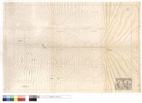 藏品(平面圖)的圖片