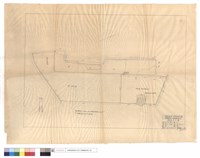 藏品(凡例)的圖片