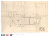 藏品(凡例)的圖片