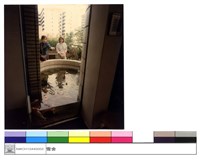 藏品(七樓花園魚池)的圖片