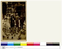 藏品((無圖名))的圖片