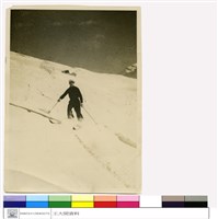 藏品((無圖名))的圖片