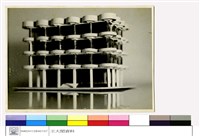 藏品((無圖名))的圖片