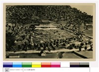 藏品((無圖名))的圖片