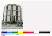 藏品((無圖名))的圖片