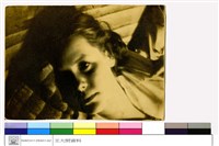 藏品((無圖名))的圖片