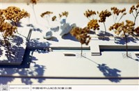 藏品((無圖名))的圖片