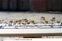 藏品((無圖名))的圖片