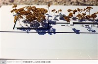 藏品((無圖名))的圖片