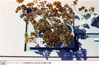 藏品((無圖名))的圖片