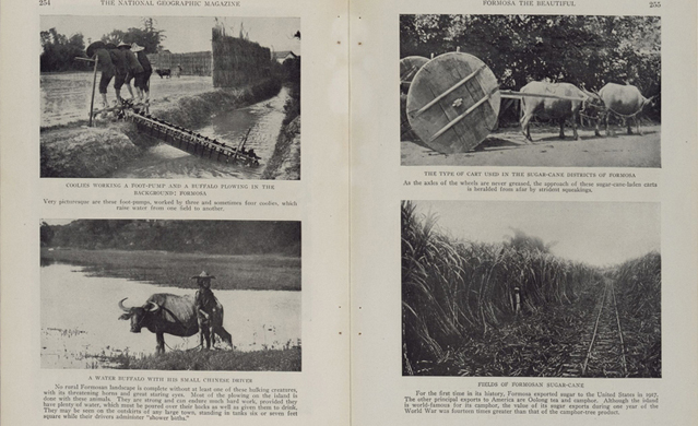 圖書文獻類-照片與相簿