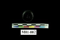 登錄號:M01-002的圖片(NTM-GEO-{M01-002}-U-AB.JPG)()，第3張，共3張