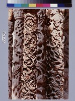 三峽祖師廟雕柱