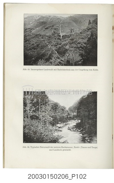 跟亞美利格赫夫曼著《來自林木蓊蔚的遠東》有關的相片，第102張