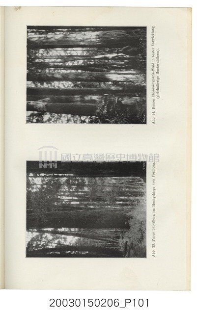跟亞美利格赫夫曼著《來自林木蓊蔚的遠東》有關的相片，第101張