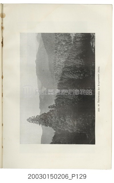 跟亞美利格赫夫曼著《來自林木蓊蔚的遠東》有關的相片，第129張
