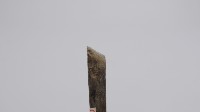 鐵尖尾藏品圖，第2張