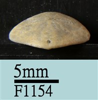 小海膽藏品圖，第3張