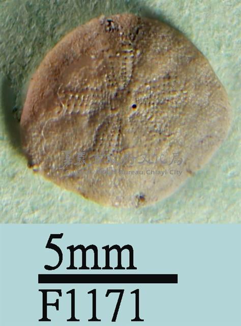 小海膽藏品圖，第1張