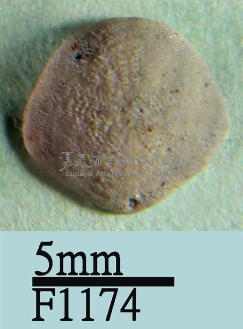 小海膽藏品圖，第1張