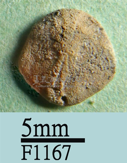 小海膽藏品圖，第1張