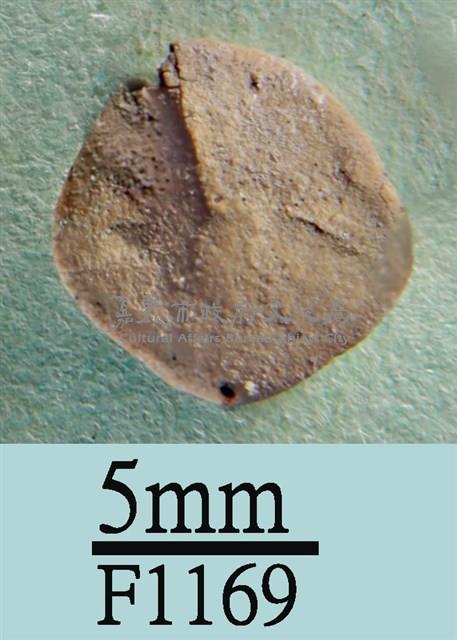 小海膽藏品圖，第1張