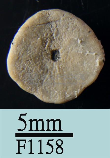 小海膽藏品圖，第2張
