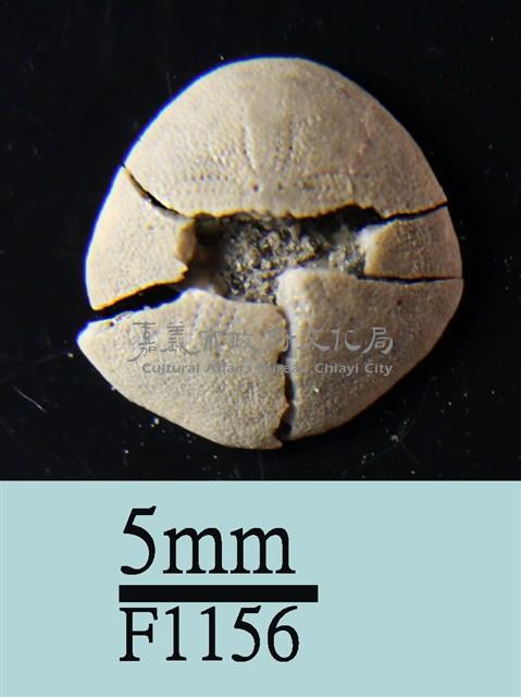 小海膽藏品圖，第1張