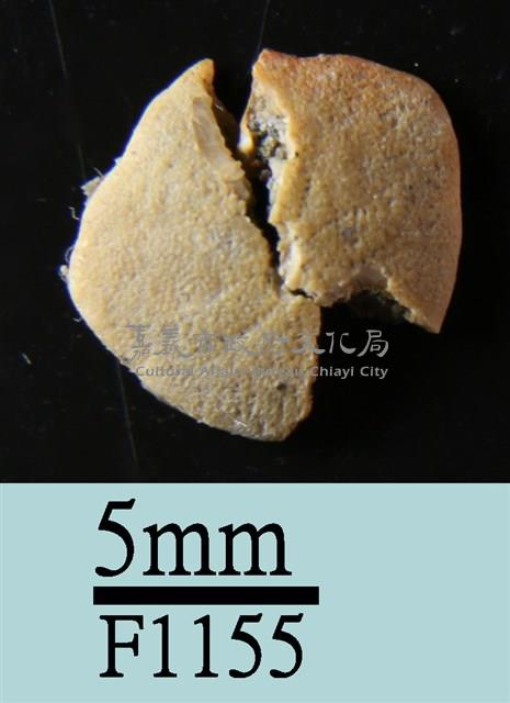 小海膽藏品圖，第1張