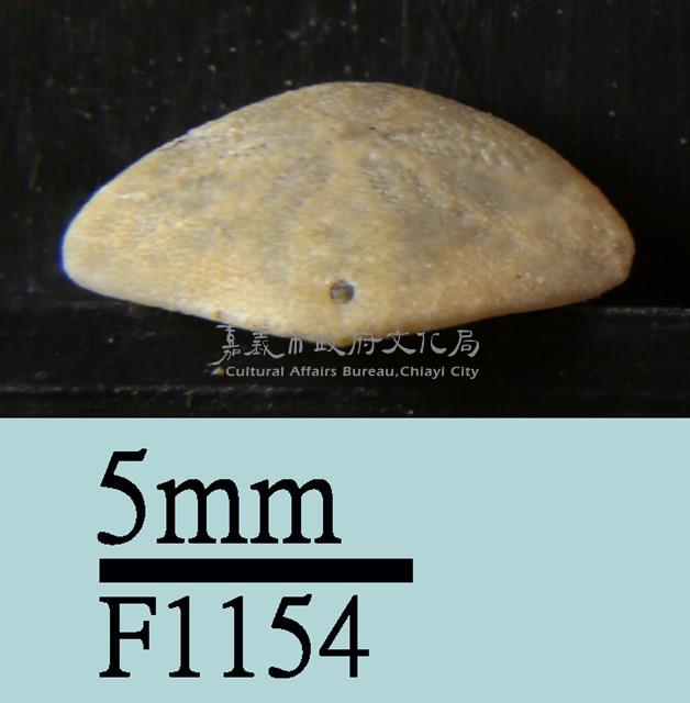 小海膽藏品圖，第3張