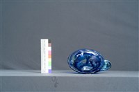 喇叭花藏品圖，第5張