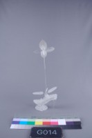 蘭花藏品圖，第1張