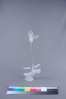 蘭花藏品圖，第2張