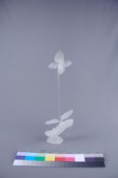 蘭花藏品圖，第3張