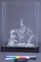 勁竹藏品圖，第1張