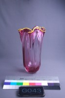 水母藏品圖，第1張