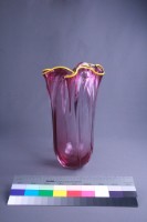 水母藏品圖，第2張