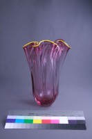 水母藏品圖，第3張